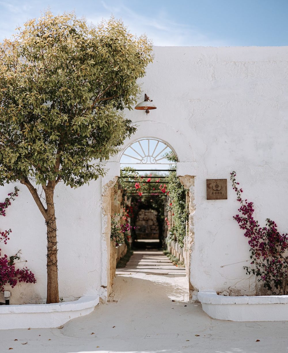 Fine dining in Masseria